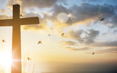 Stage Meditazione Pasqua 2025